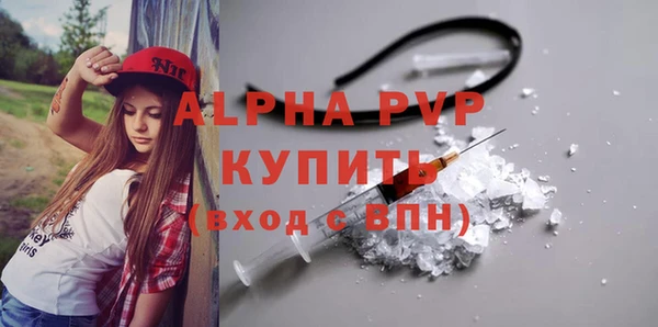 стаф Арсеньев