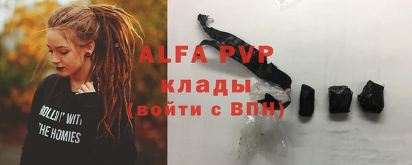 стаф Арсеньев