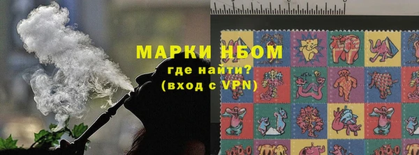 стаф Арсеньев
